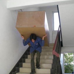 义乌蚂蚁搬家公司 专业搬运与保洁的一站式服务专家